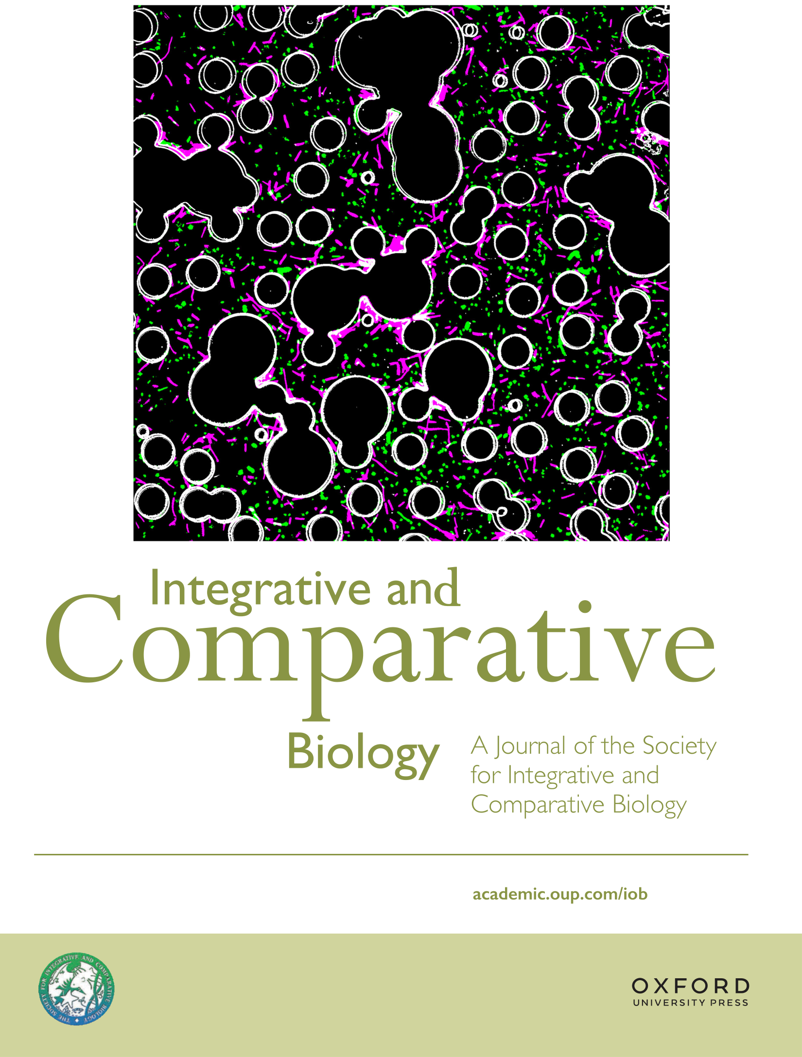 ICB journal cover — selective trapping of bacteria in porous media